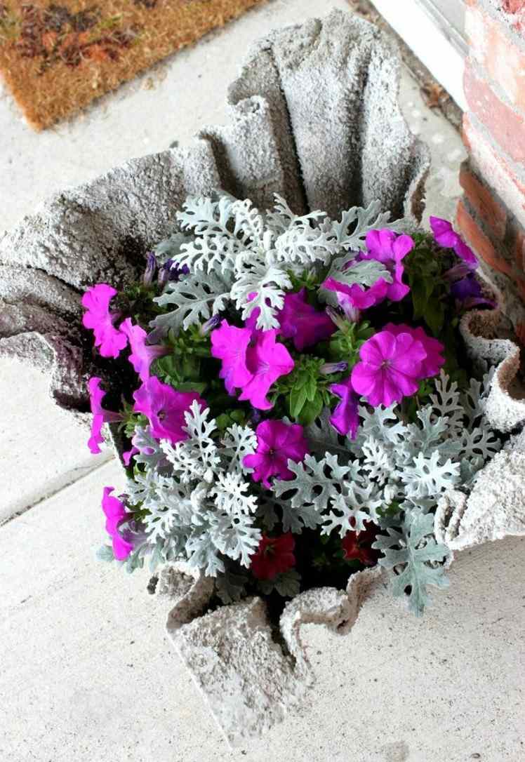 trädgård dekoration-betong-petunia-rosa-ragwort-silver-blad