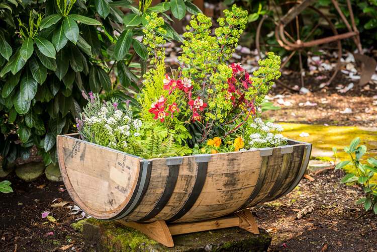 Idéer och tips för plantering av en halv fat fat