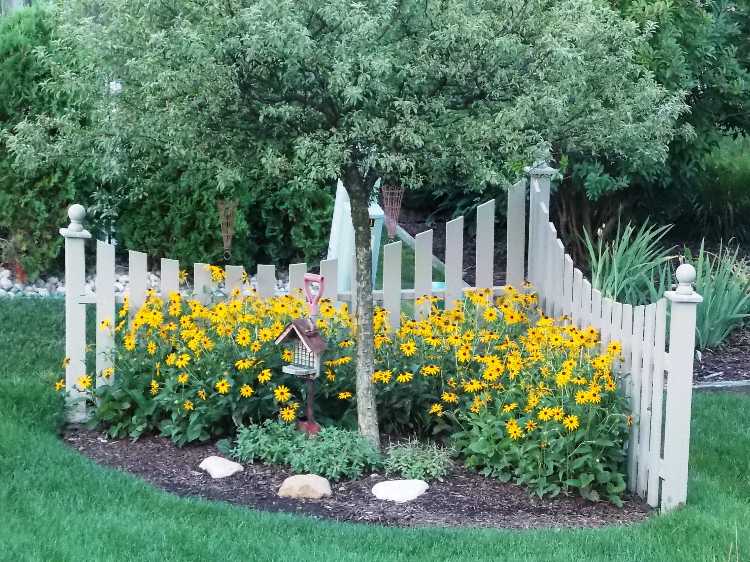 trädgård hörn form plantering gula blommor vitt staket