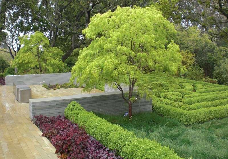 Trädgårdsdesign-2015-träd-buskar-terrass-skördetröska
