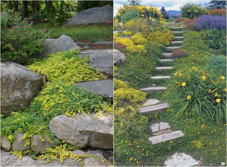 trädgårdsdesign-lutning-markskydd-gulblommande-stentrappor