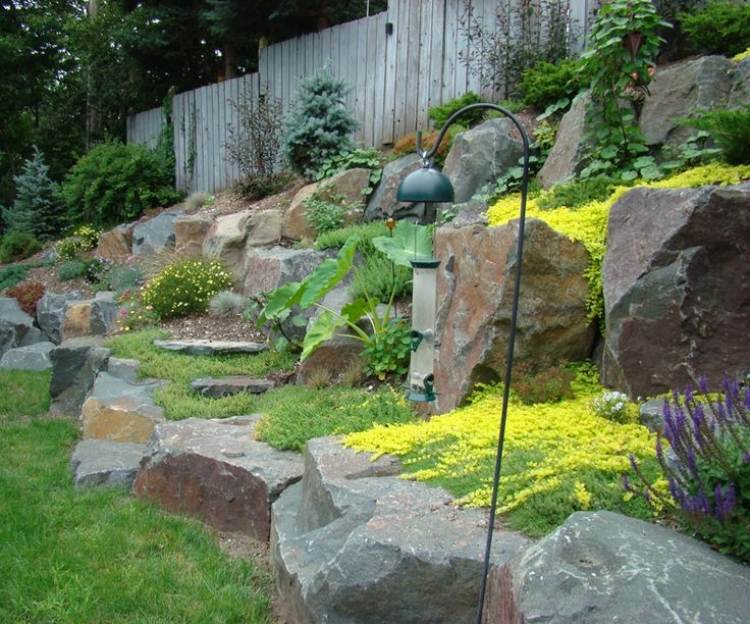 trädgård design-lutning-stora-stenar-mark täck-gul-wallpepper