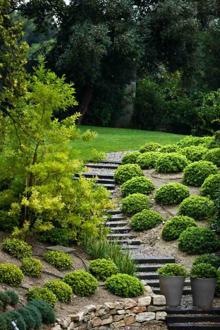 trädgård-design-på-sluttningen-lådan-träd-idé-boll-form-trappor