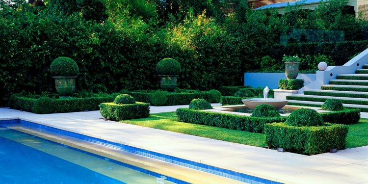 trädgård-design-fransk stil-pool-område-låg-häck-växter
