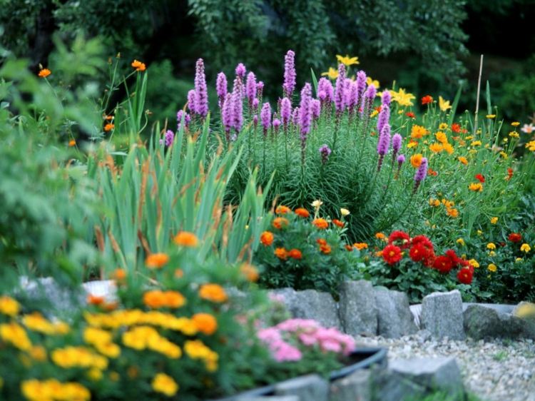 trädgård design bilder äng-look-blomma-idéer-färgglada-färger