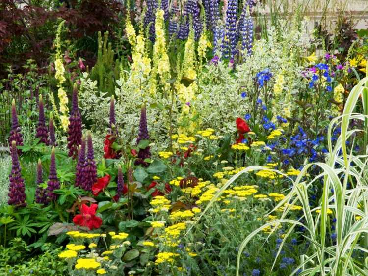 trädgård-design-bilder-rabatter-gul-blå-graeser-idéer-ängar
