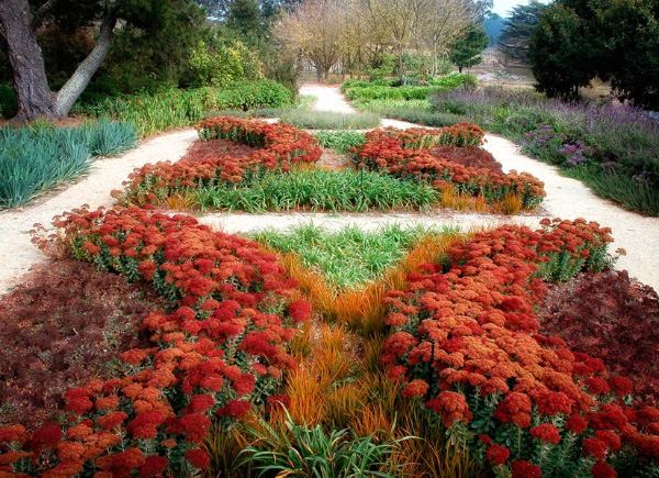 Skapa en rabatt design-röda blomstrar-värmebeständiga trädgårdsdesignidéer eckersley