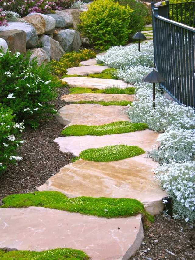 japansk trädgård stil mossa stenar marken täcker
