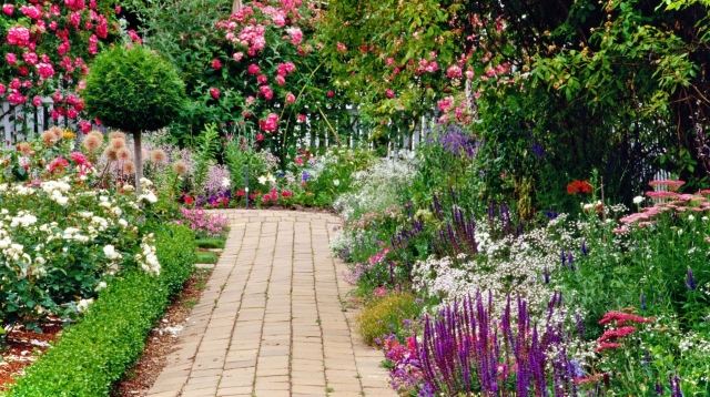 stuga trädgård blommor gångväg peonia prydnadslök