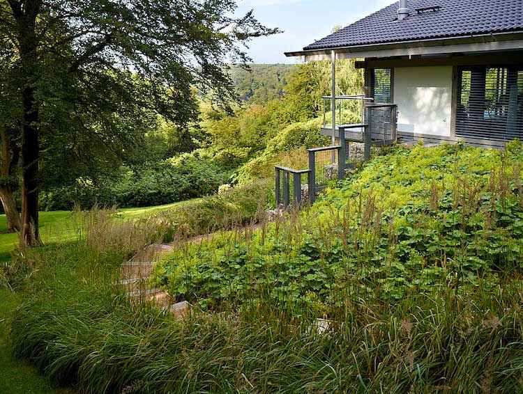 landskapsarkitektur-sluttning-hus-trottoar-trädgård-mark täck-pampas gräs