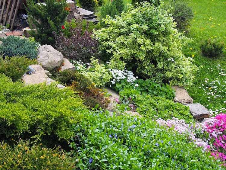 trädgårdsdesign-sluttning-markskydd-vintergröna-buskar-stenar-bluehnde