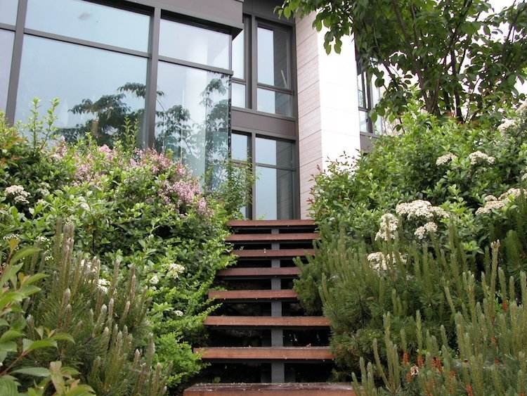 landskapsarkitektur-sluttning-trappor-moderna-hus-växter-grönska