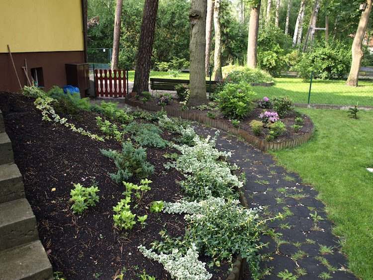 landskapsarkitektur-sluttning-fram trädgård-mark täck-trottoar-trottoar-gräsmatta
