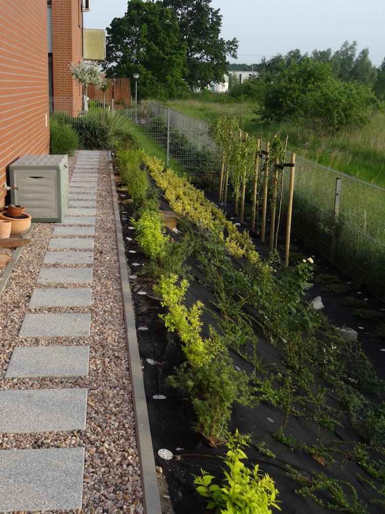 landskapsarkitektur-sluttning-back trädgård-trottoar-terrass plattor-grus-mark täck-bevattning