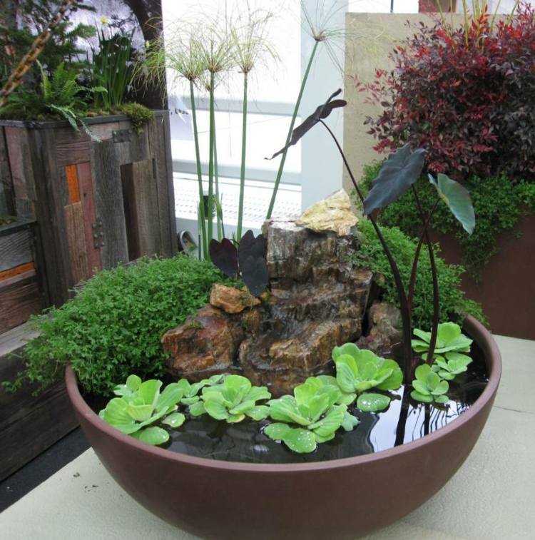 Trädgårdsdesigninspirationer Skapa en minidamm Välj vattenväxter Stones