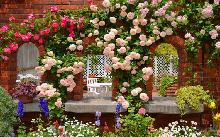 Trädgårdsdesign klätterblommor rosenträ stenmur