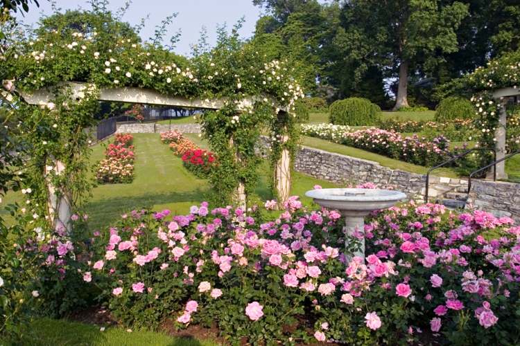 Landskapsarkitektur rosenträdgård fontän skapa gräsmatta
