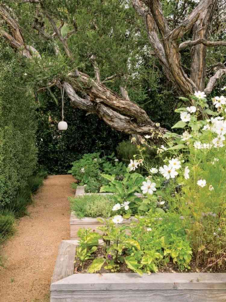 Klippträdgård-skapa-trädgård-design-grus-grus-avenyer-grönska-upphöjda sängar-träd