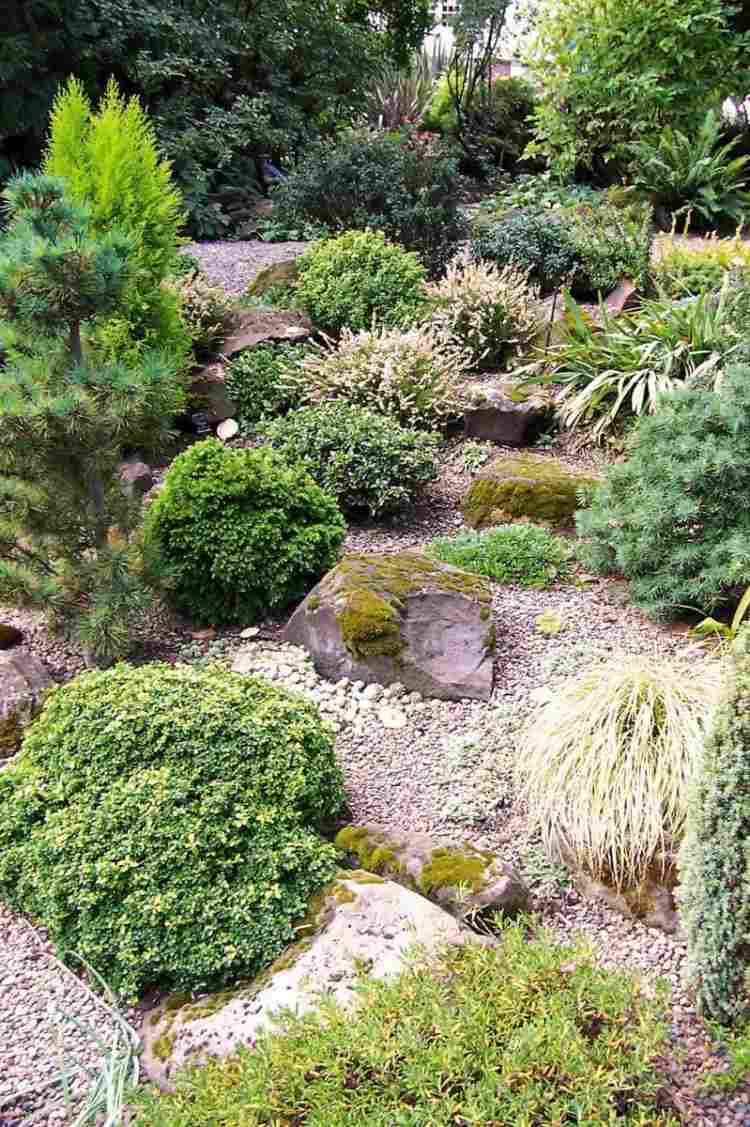 Bergträdgård-skapa-trädgård-design-grus-grus-sten-buske-gräs-mark täck-torr
