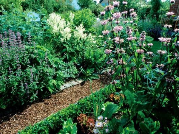 Trädgårdsfjäder designväg landstil vårblommor