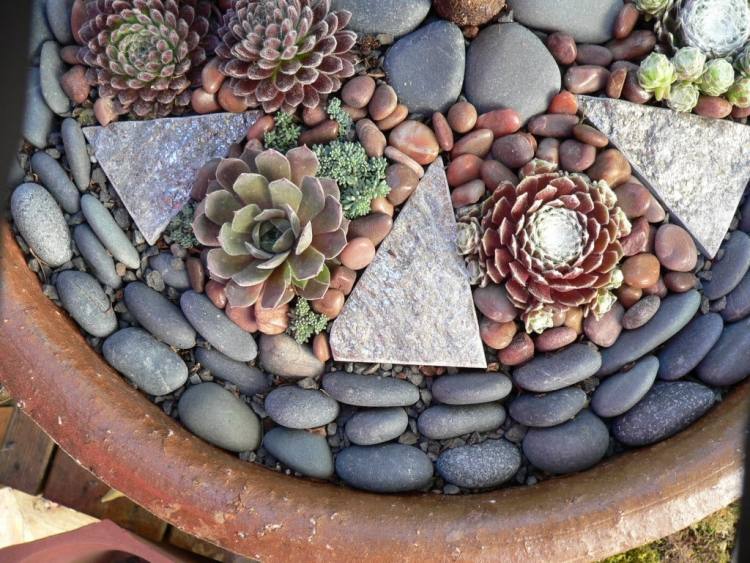 Trädgårdsdesign med stenar-grus-mosaik-planter-succulenter