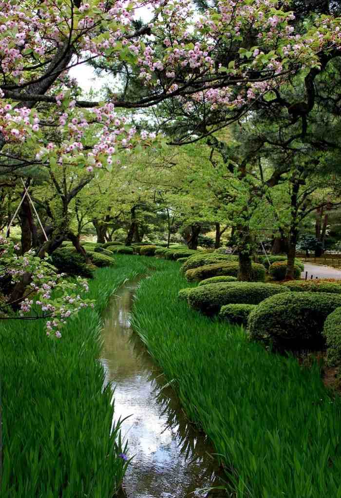 Trädgårdsdesign-idéer-asiatisk-inspirerad-blommande-träd-naturlig-ström