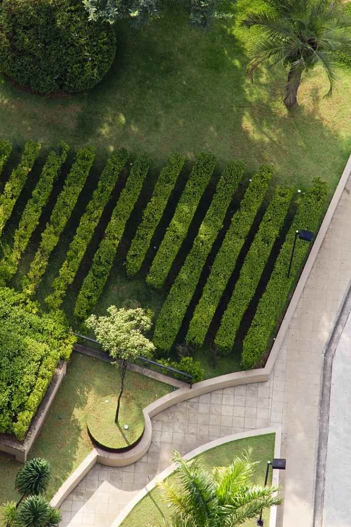 minimalism-trädgårdsarbete-landskapsarkitektur-häck-växter-ensemble