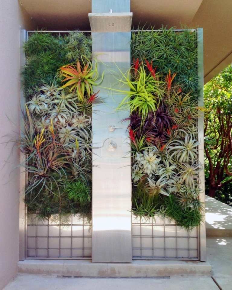 Trädgårdsidéer-favoritplats-trädgård dusch-planterad-vägg