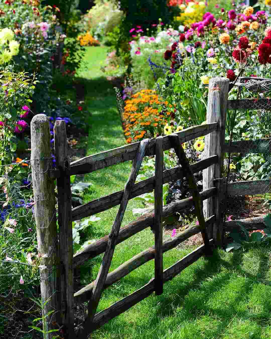 Trädgård och uteplats idéer miljövänligt staket lantgårdstil blommor trädgårdstrender