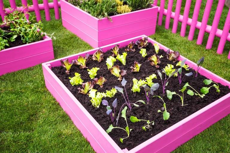 Trädgård och terrass idéer upphöjd säng plantering blommor trädgård dekoration trender