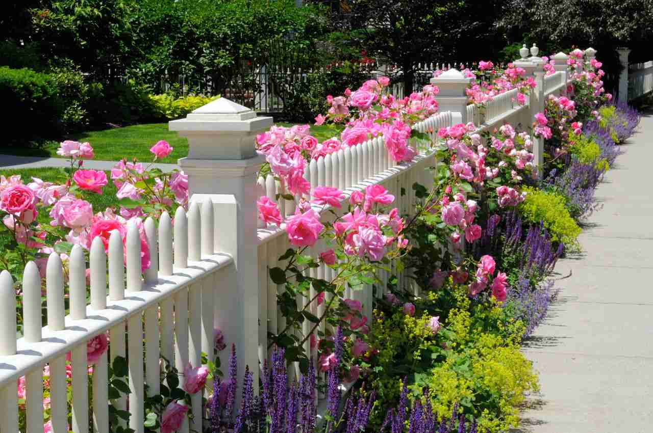Trädgård och uteplats idéer staket med blommor rosor trädgårdstrender 2019
