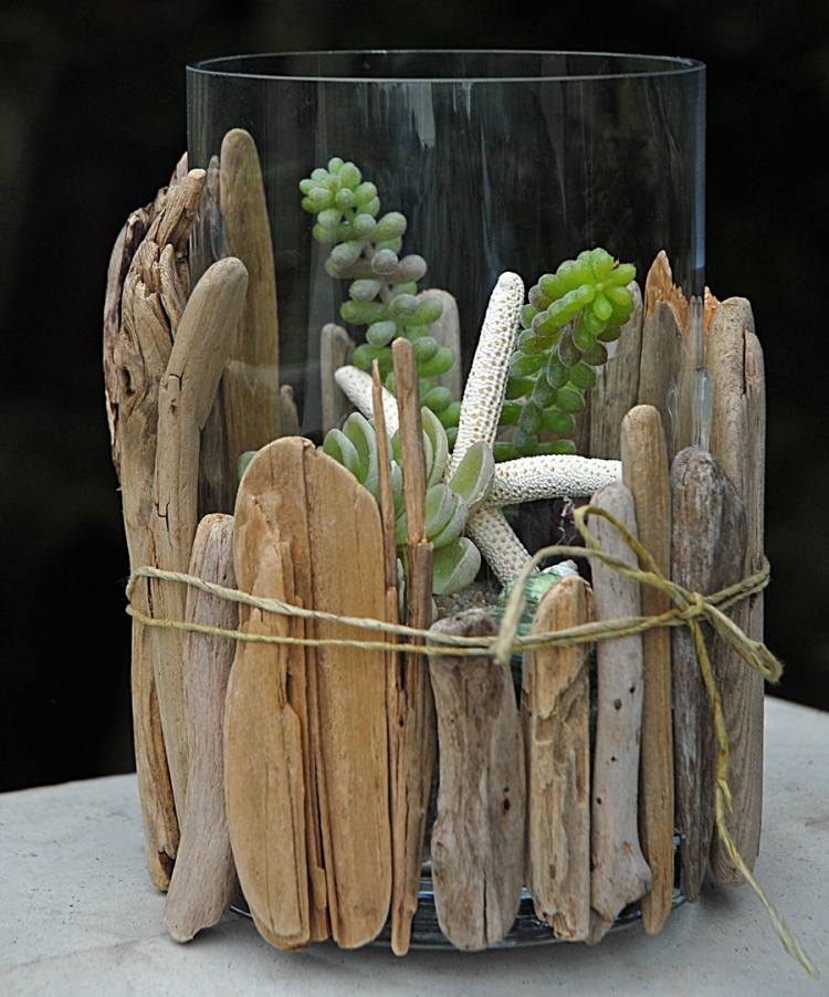 trädgård-låda-drivved-växter-terrarium-glas-låda-sand-stenar