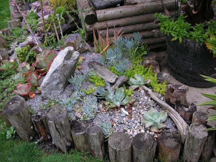 trädgård-konst-drivved-blomma-låda-trädgård-dekoration-succulenter