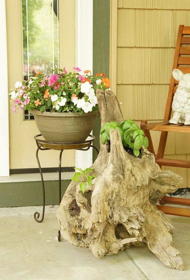 trädgårdskonst-drivved-träd-rot-planter-basilika