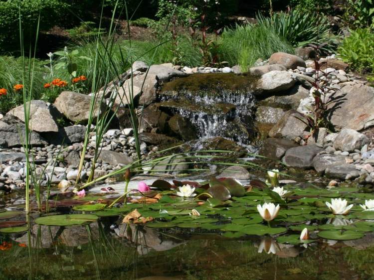 Skapa en trädgårdsdamm vattenfall-näckrosor-småsten-romantisk