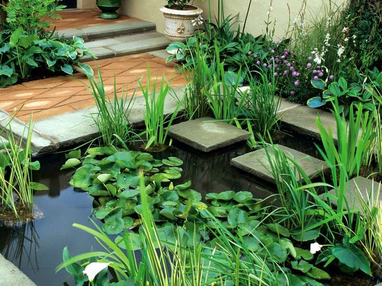 Skapa en trädgårdsdamm stegstenar-vatten-funktion-vatten växter-säng
