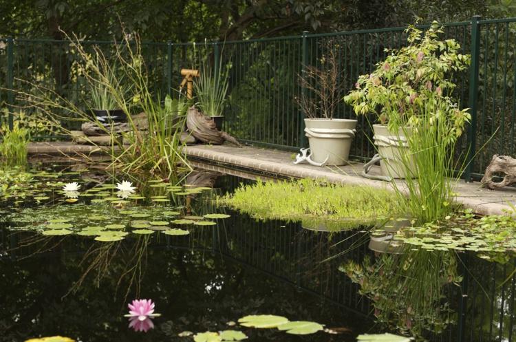 trädgård-damm-pool-skapande-inspiration-miljövänlig-konvertering