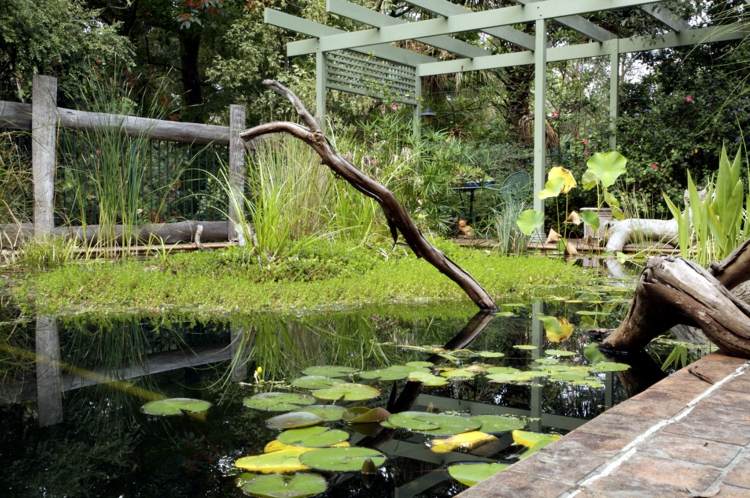 trädgård-damm-pool-skapa-naturlig-optik-landskapsarkitektur-pergola