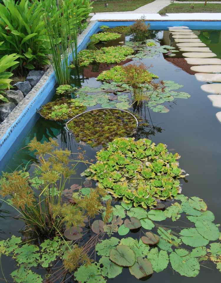 trädgård-damm-pool-skapa-blomkruka-vatten-växter-klivstenar-vatten