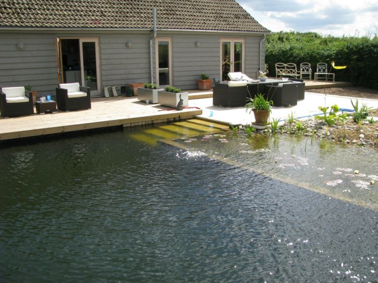 trädgård-damm-pool-skapa-steg-utan-kemikalier-sommar-bad