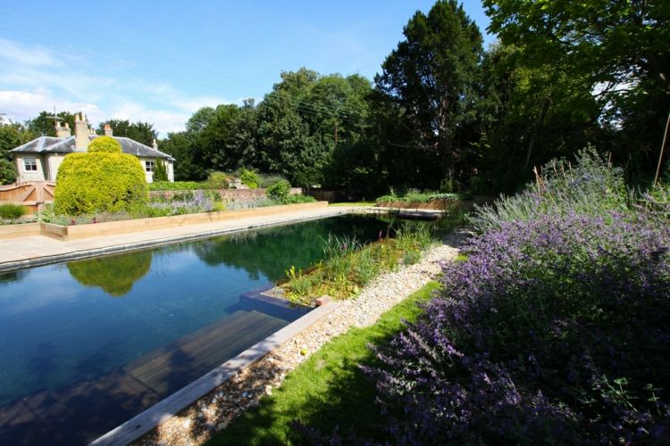 Skapa en trädgårdsdamm i poolen simning-damm-idé-säng-vatten-design