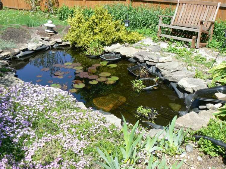 bygg din egen trädgård damm stenar folie mark täcka växter näckrosor