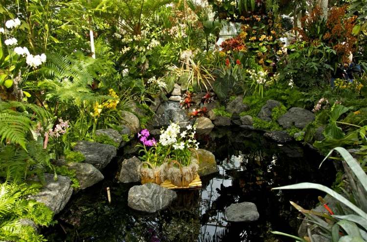 idé trädgård damm bygga själv orkidéer stenar växter banker