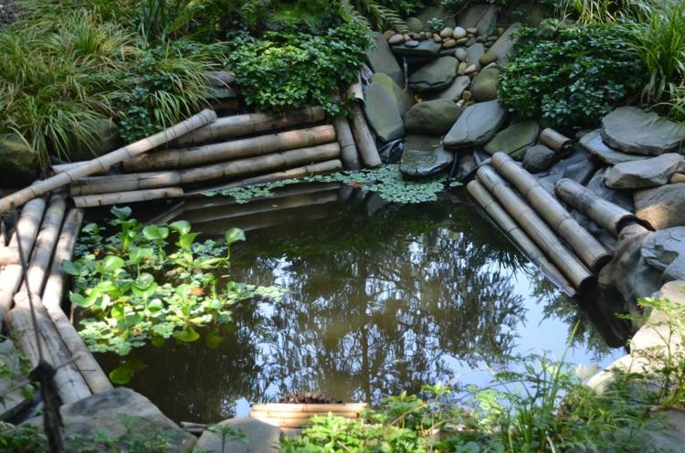 damm bambu ram stenar naturligt utseende växter