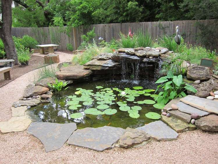 trädgård-dammar-skapa-växt-vatten-funktion-design