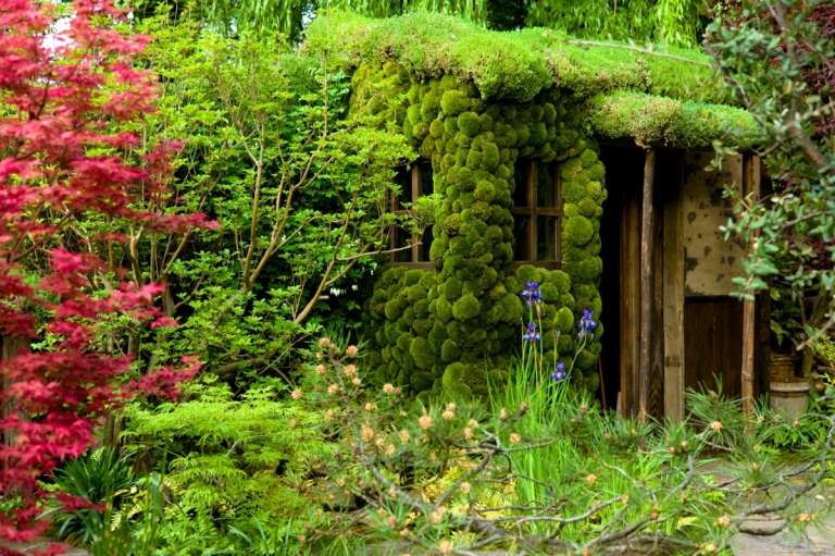 Gartentrend 2019 - Gröna väggar med mossa och träd för textur