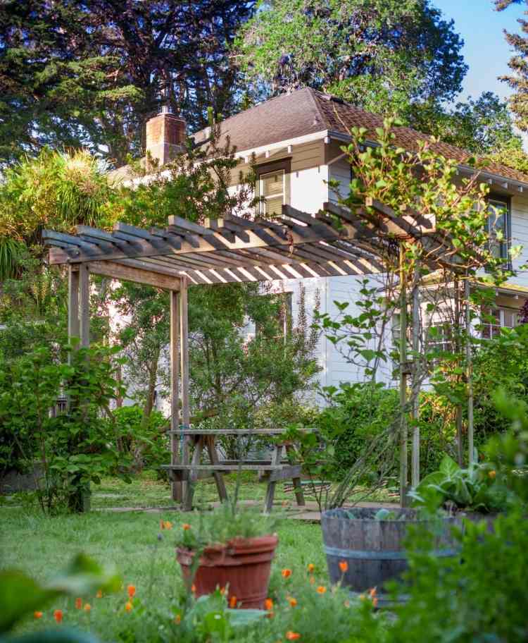 gartenternds-2016-dröm-trädgård-lanhaus-trädgård-kaotiska-vilda växter