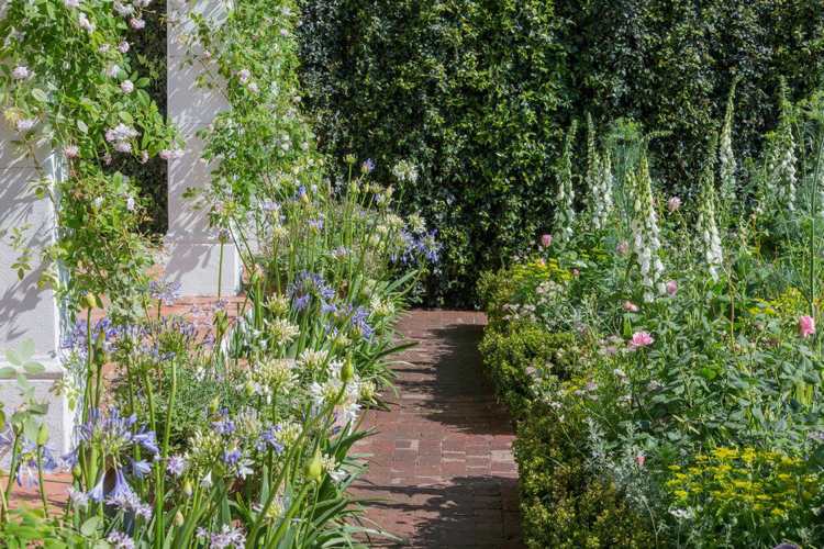 Stuga trädgård växter perenner pastellfärger