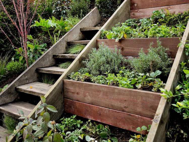 Bygg din egen trädgård-trappa-trä-upphöjda säng-ört trädgård-kryddor