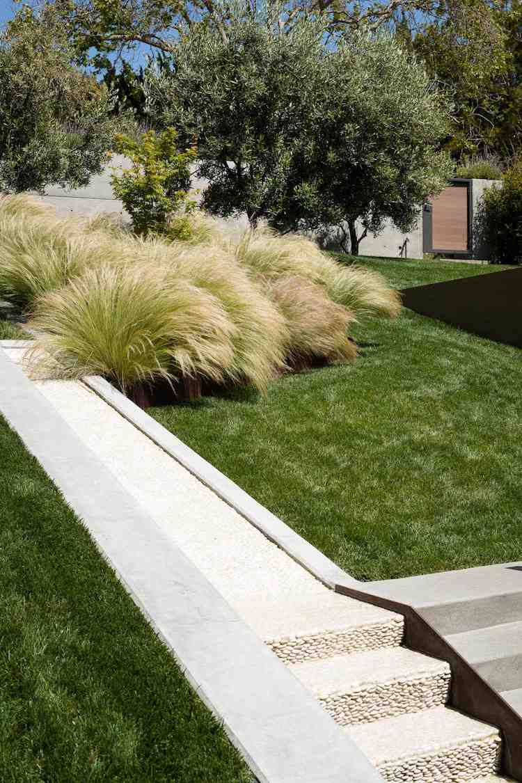 Trädgårdstrappor-bygg-själv-design-idéer-modern-betong-prydnadsgräs-Eulaliagras